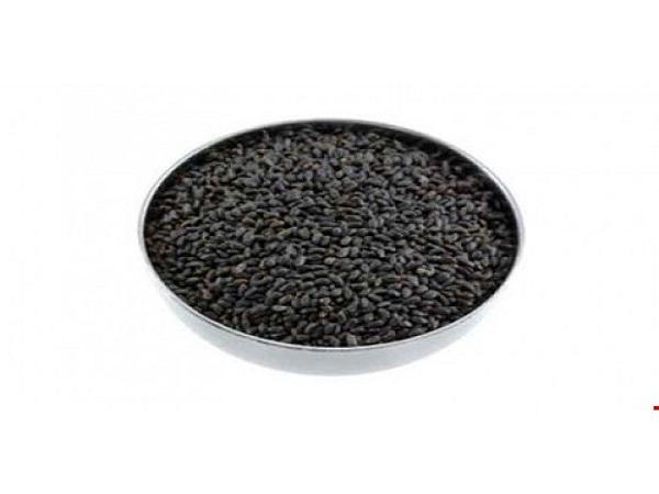 بازرگانی فروش تخم شربتی ایران