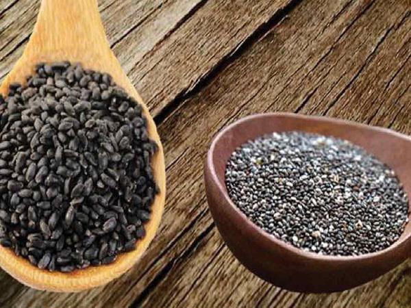 پخش عمده تخم شربتی ایران