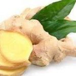 زنجبیل مرغوب