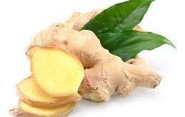 زنجبیل مرغوب