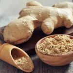 قیمت فروش زنجبیل