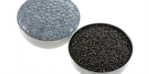 لیست قیمت تخم شربتی اصل در تبریز