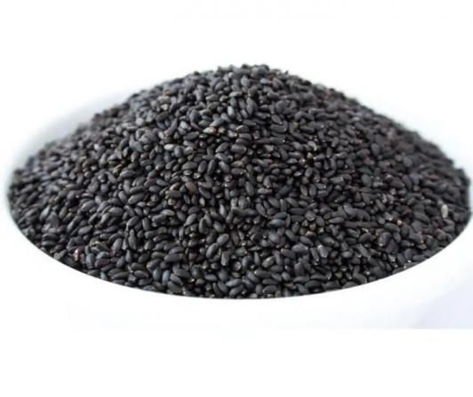 نمایندگی تخم شربتی در مشهد