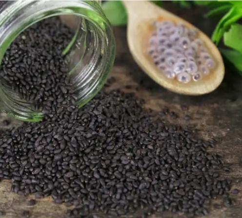 قیمت انواع تخم شربتی با کیفیت در بازار