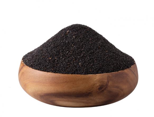 نمایندگی تخم شربتی در اصفهان