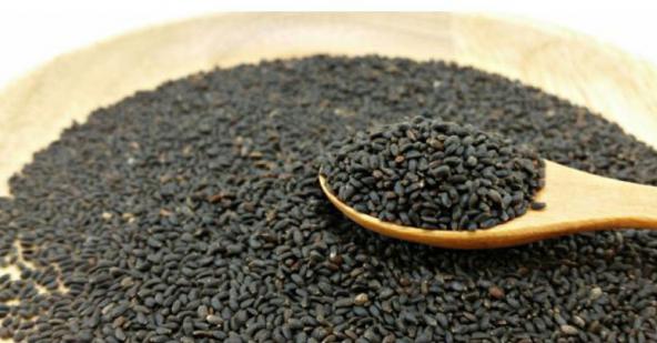 قیمت تخم شربتی اعلا در مشهد