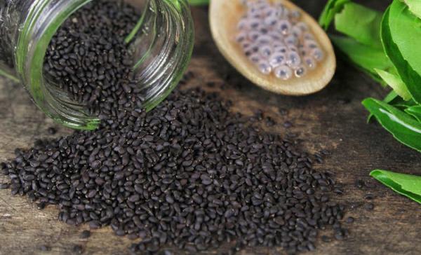 فروش ویژه تخم شربتی درجه یک در بازار های داخلی