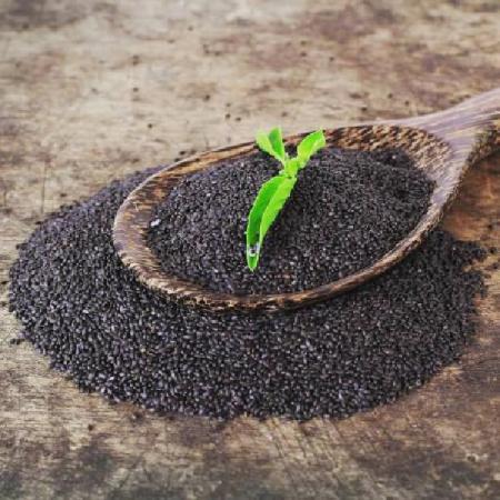 خرید تخم شربتی به صورت عمده