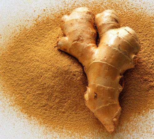 خرید و فروش انواع مختلف زنجبیل