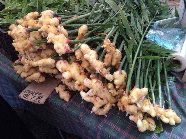 فروشگاه خرید و فروش زنجبیل درجه یک 