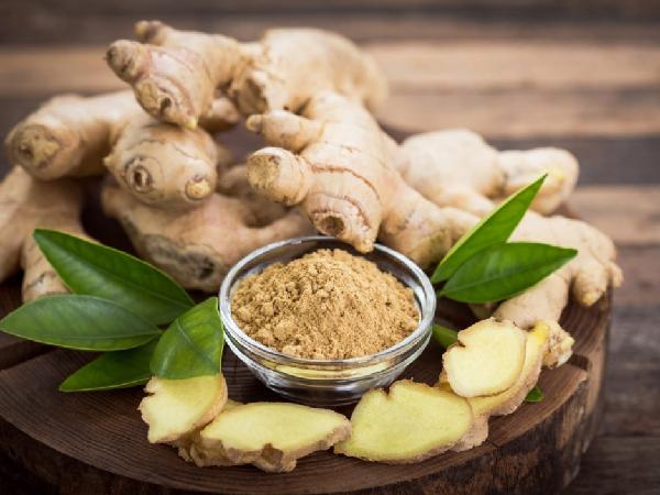 فروشنده اصلی انواع مختلف زنجبیل تازه