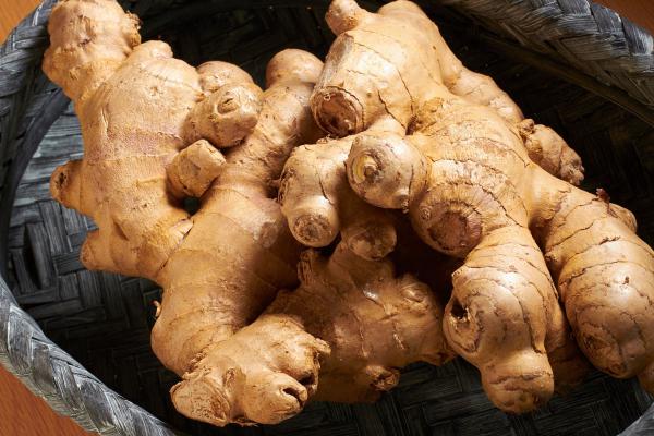 شرکت ها و کارخانه های تولید کننده زنجبیل با قیمت ارزان