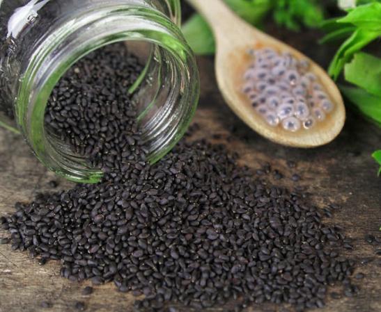 تولید کننده برتر تخم شربتی در بازار ایران