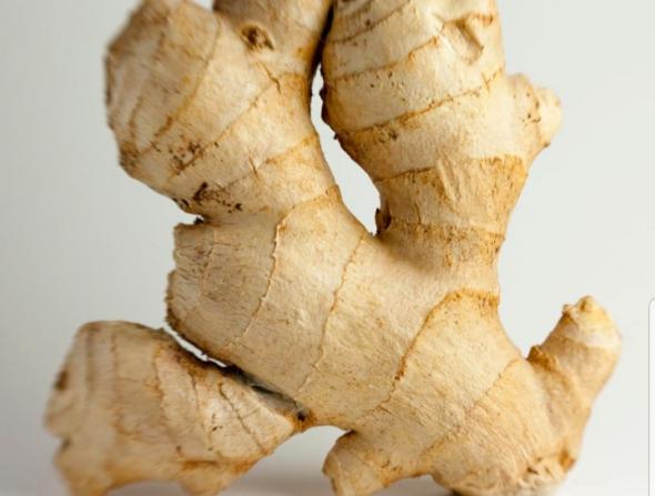 صادرات گیاهان دارویی و زنجبیل به امارات