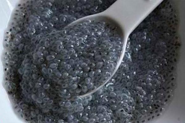 محل فروش فله ای و بسته بندی تخم شربتی