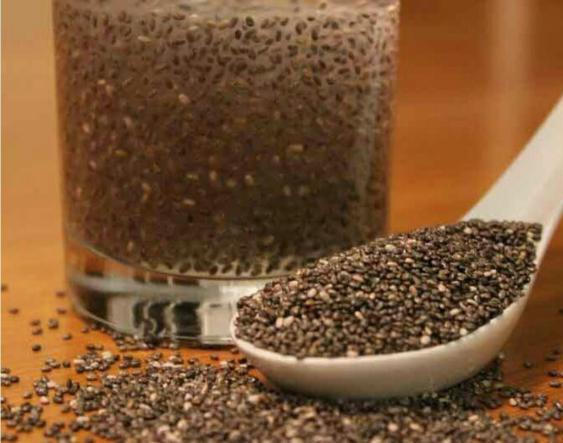 محل خرید باکیفیت ترین تخم شربتی در تهران