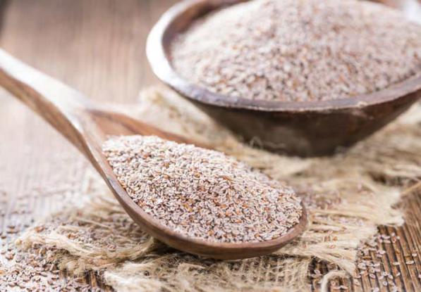 پخش مستقیم بارهنگ فله باکیفیت