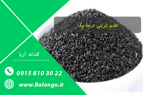 لیست قیمت تخم شربتی