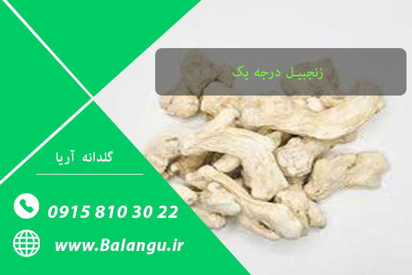 خرید زنجبیل قلم چینی