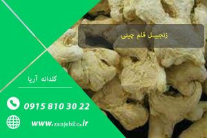 خرید زنجبیل قلم چینی