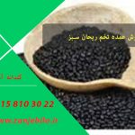 تخم شربتی افغانی
