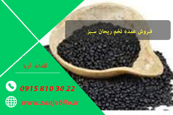 تخم شربتی افغانی