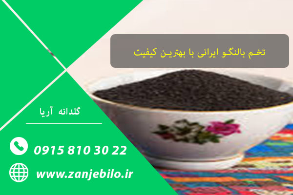 خرید تخم بالنگو