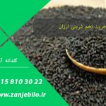 خرید تخم شربتی ارزان