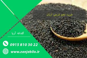 خرید تخم شربتی ارزان