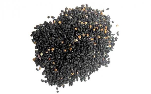 قیمت انواع تخم ریحان تازه