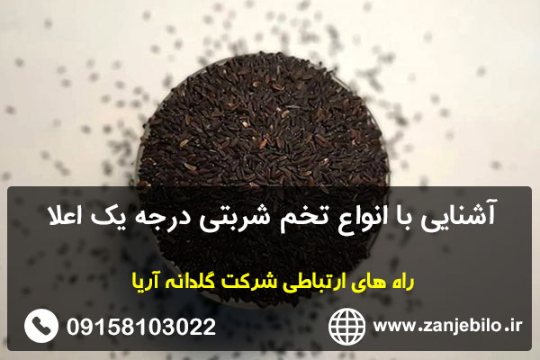 آشنایی با انواع تخم شربتی درجه یک اعلا