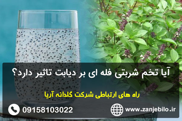 آیا تخم شربتی فله ای بر دیابت تاثیر دارد؟