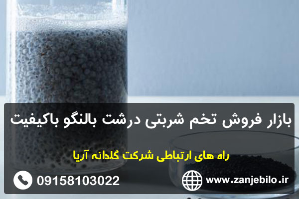 بازار فروش تخم شربتی درشت بالنگو باکیفیت