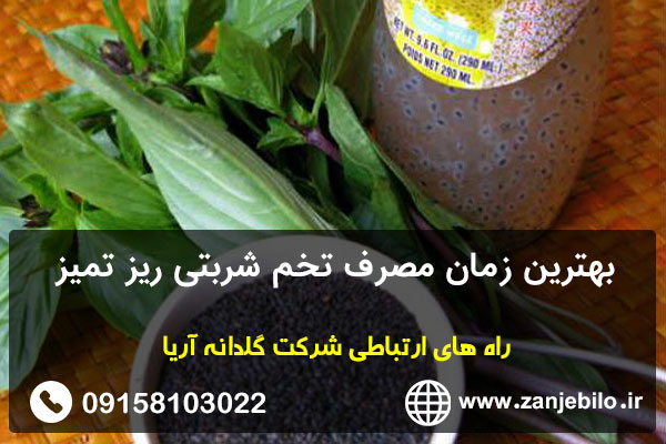 بهترین زمان مصرف تخم شربتی ریز تمیز