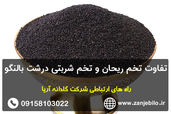 تفاوت تخم ریحان و تخم شربتی درشت بالنگو