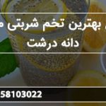 توزیع بهترین تخم شربتی مشهد دانه درشت