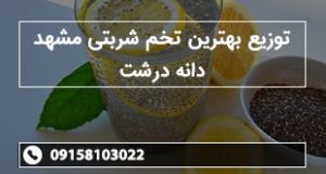 توزیع بهترین تخم شربتی مشهد دانه درشت