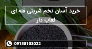 خرید آسان تخم شربتی فله ای لعاب دار
