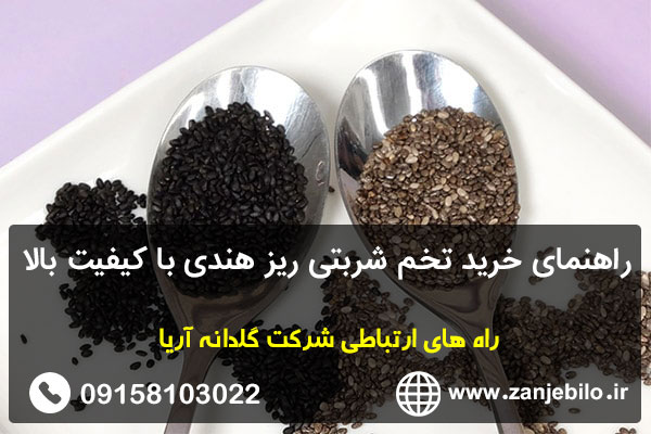 راهنمای خرید تخم شربتی ریز هندی با کیفیت بالا