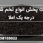 شرکت پخش انواع تخم شربتی درجه یک اعلا