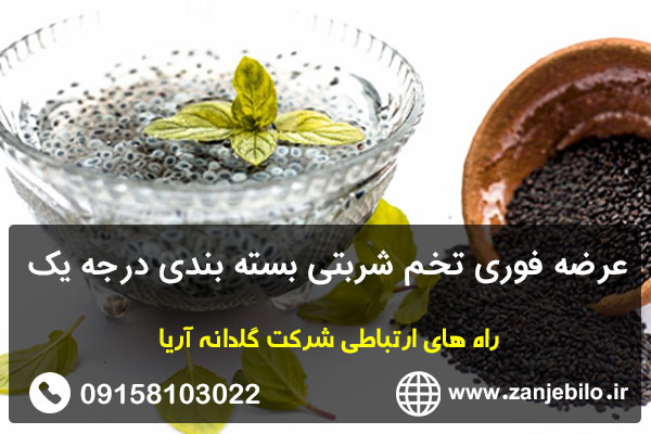 عرضه فوری تخم شربتی بسته بندی درجه یک