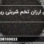 فروش ارزان تخم شربتی ریز تمیز