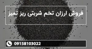 فروش ارزان تخم شربتی ریز تمیز