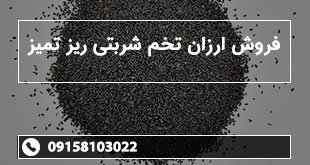 فروش ارزان تخم شربتی ریز تمیز