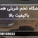 فروشگاه تخم شربتی همدان باکیفیت بالا