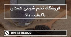 فروشگاه تخم شربتی همدان باکیفیت بالا