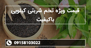 قیمت ویژه تخم شربتی کیلویی باکیفیت