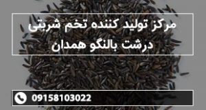 مرکز تولید کننده تخم شربتی درشت بالنگو همدان
