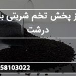 مرکز پخش تخم شربتی بالنگو درشت