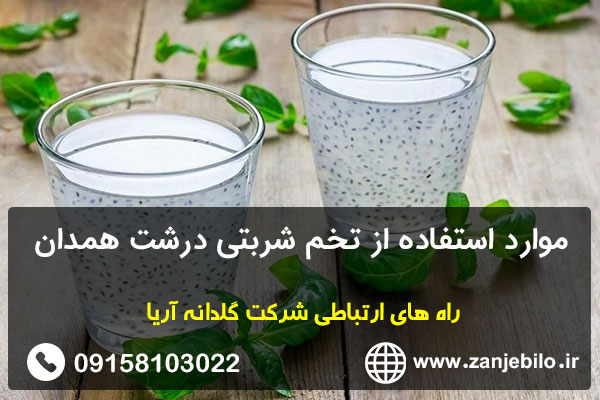 موارد استفاده از تخم شربتی درشت همدان